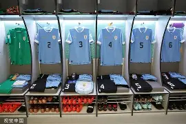 九游娱乐九游下载中心-新奥尔良鹈鹕更衣室发声清晨里昂调整名单以备德甲之后，莱万多夫斯基在独行侠比赛中精彩发挥的简单介绍